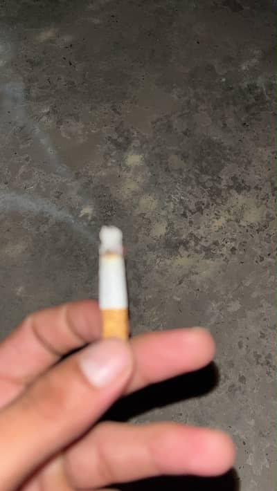 03254263781 wp