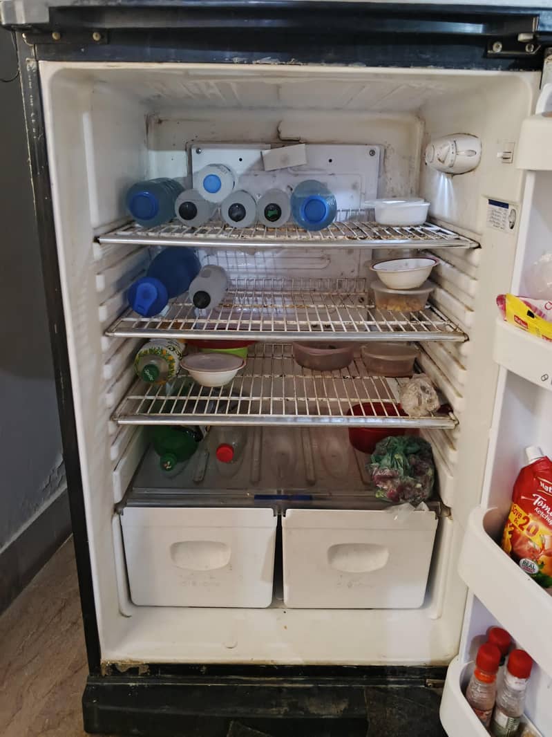 Orient Fridge Large 7
