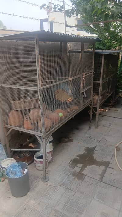 Modern Cage – Stylish & Durable Design