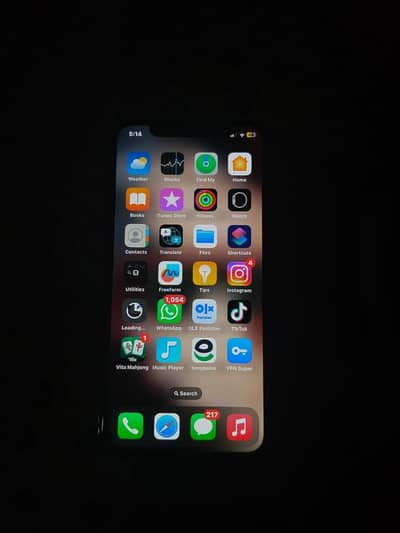 Apple iPhone X