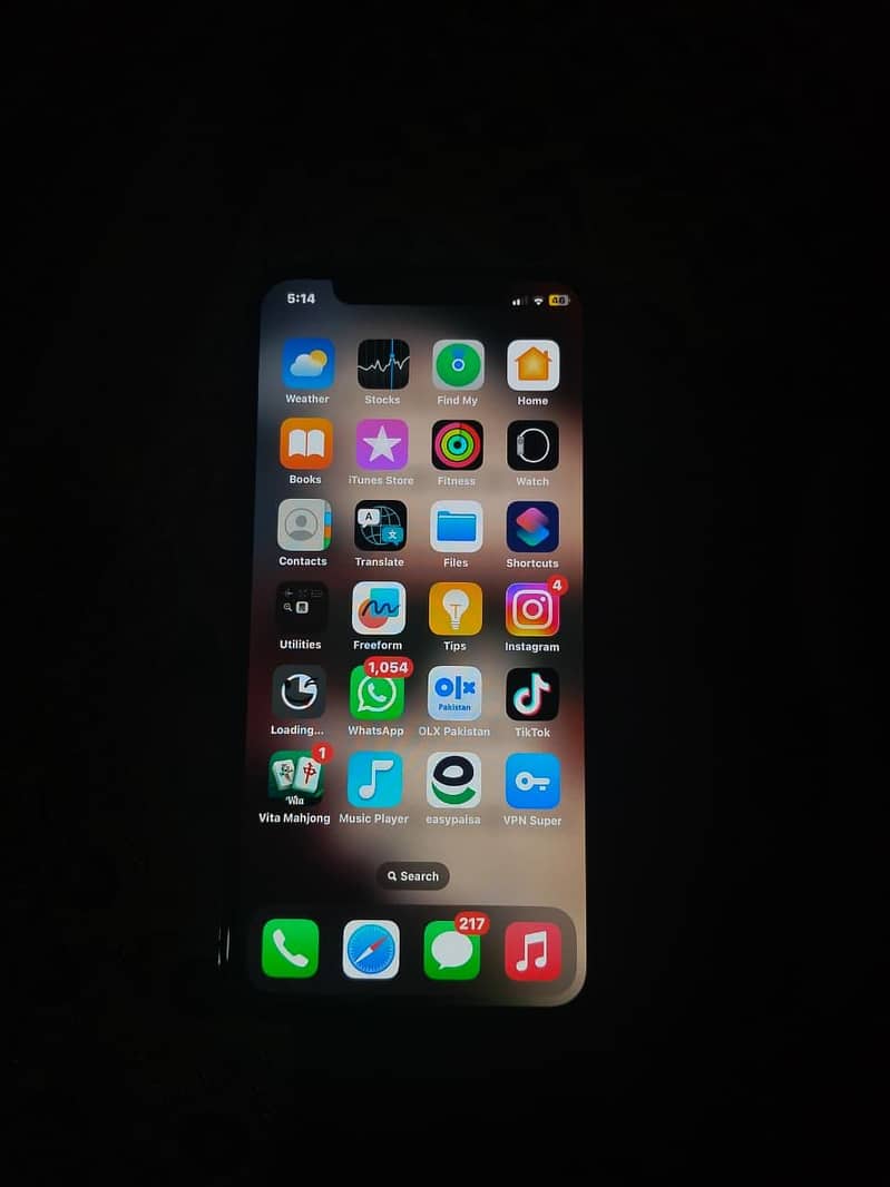 Apple iPhone X 5