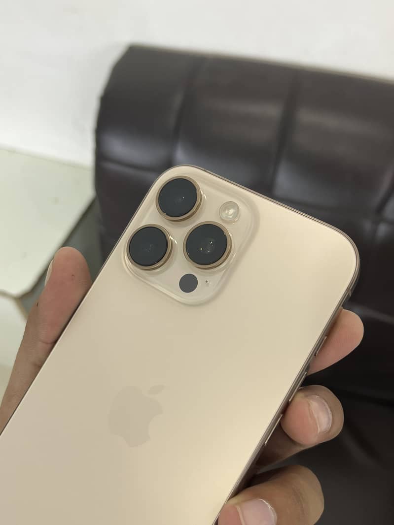 Apple iPhone 16 Pro Max 1