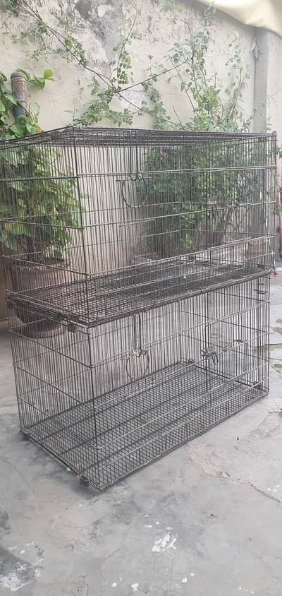 2.5 x 1.5 cages for sale