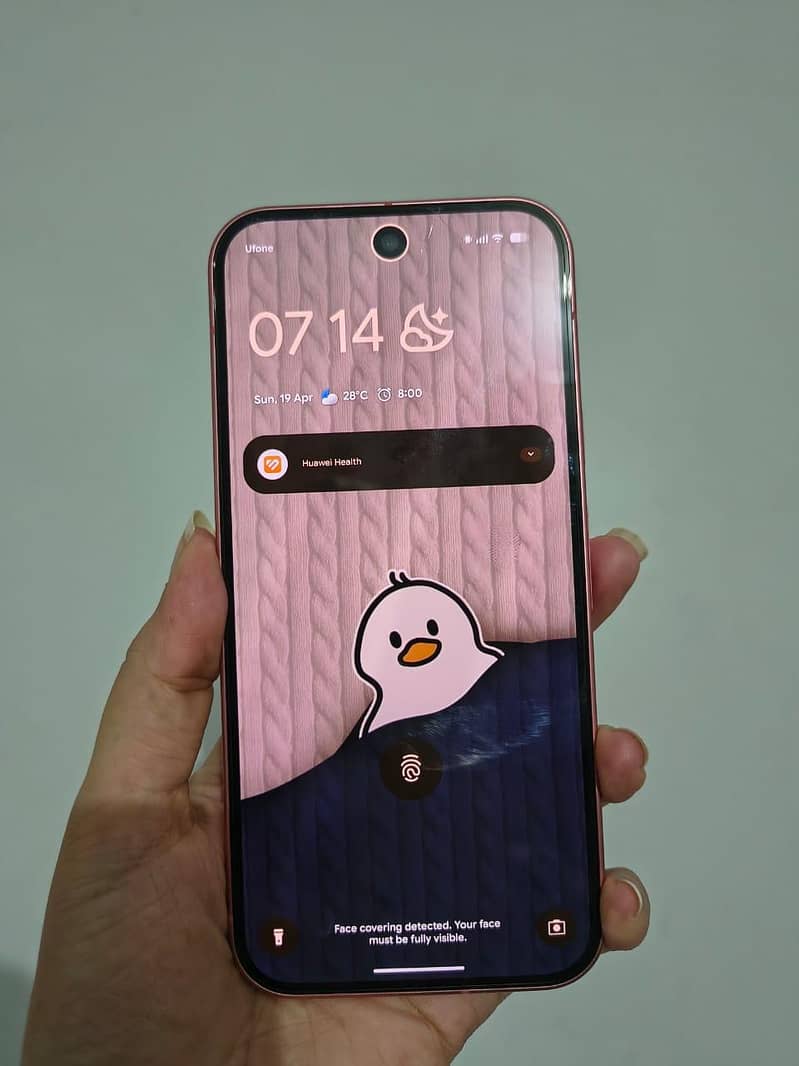 Google Pixel 9 1