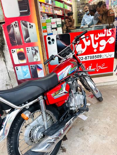 watsapp #03228788509