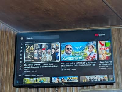 sony Bravia 49" original