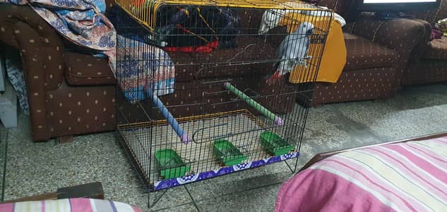zrar cage big size
