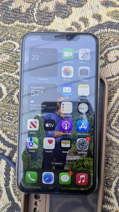 Apple iPhone X