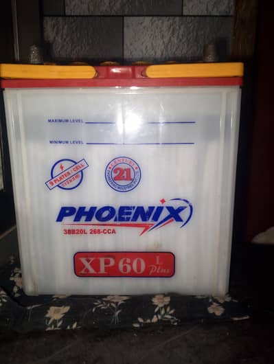 Phoenix 9 Plate Battery