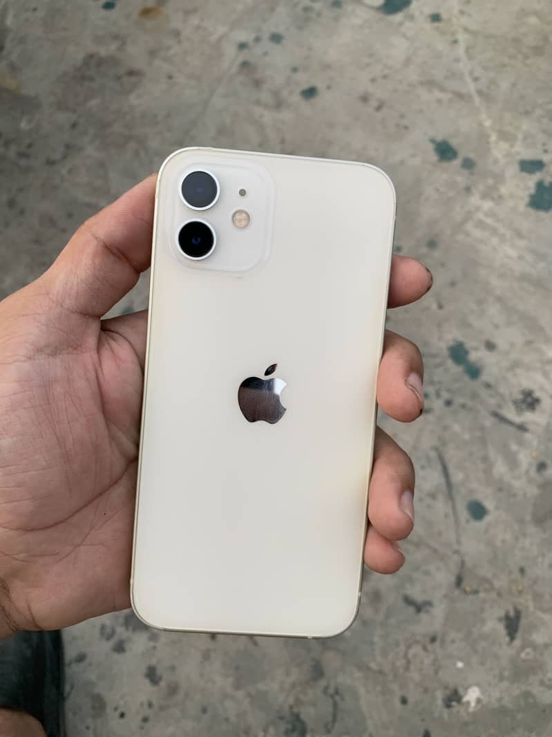 Apple iPhone 12 1