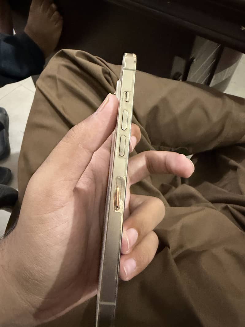 Iphone 13 pro 1