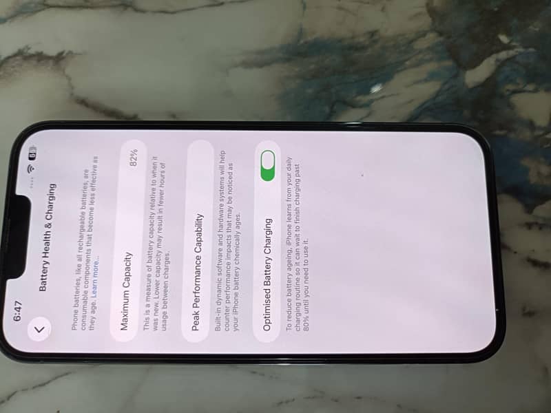 Apple iPhone 13 Pro Max 1