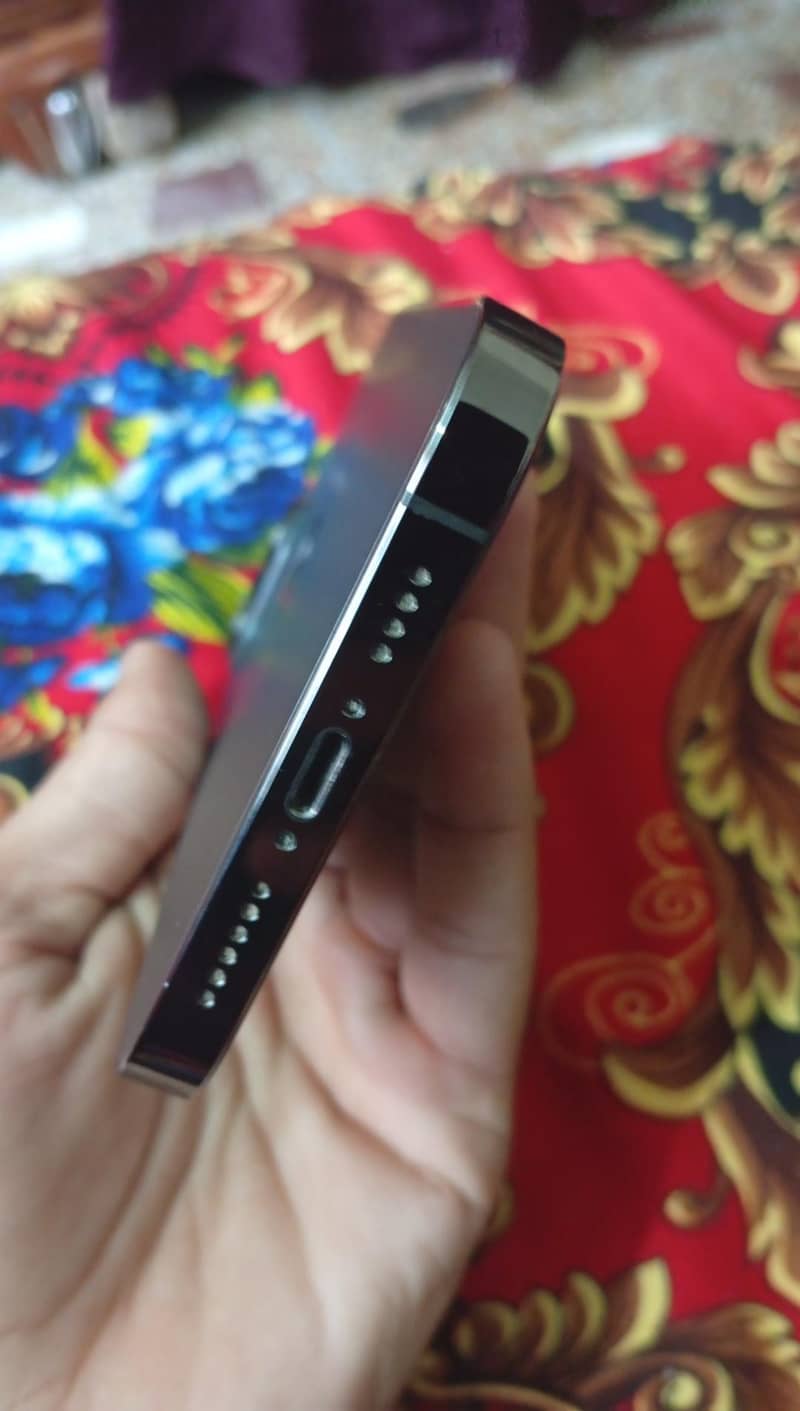 Apple iPhone 13 pro max 2