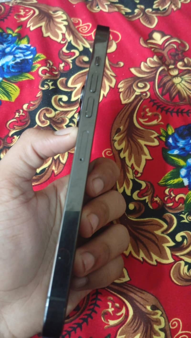 Apple iPhone 13 pro max 5