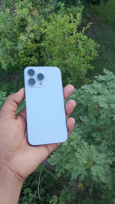 Apple iPhone 13 Pro 03421010702 contact number