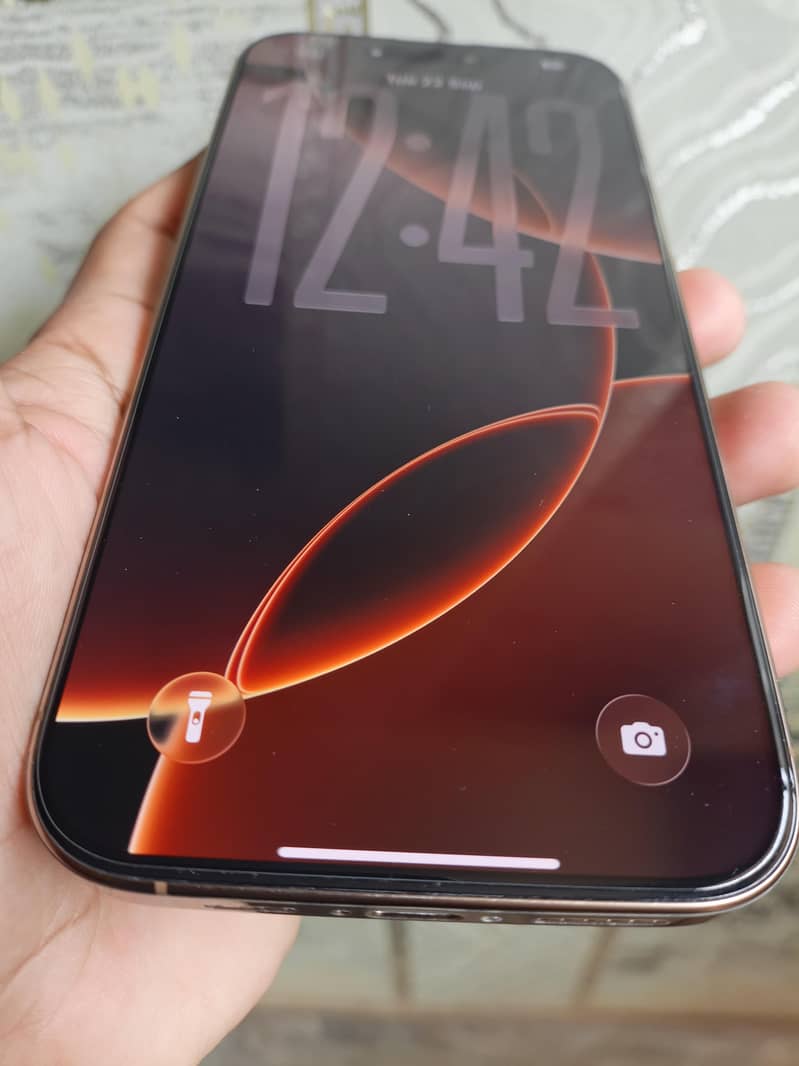 Apple iPhone 16 Pro Max 1