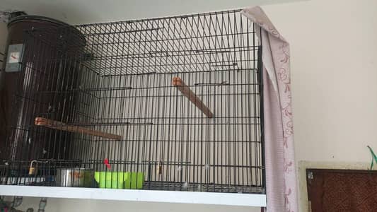 iron cage