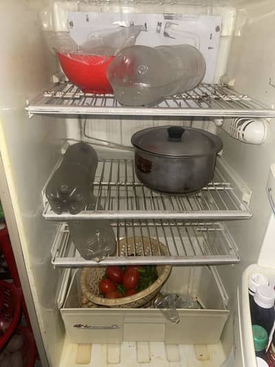 Fridge Pell Medium size