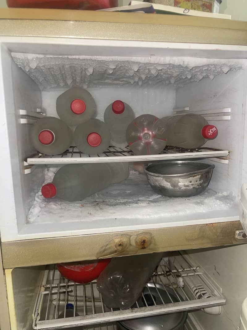 Fridge Pell Medium size 1