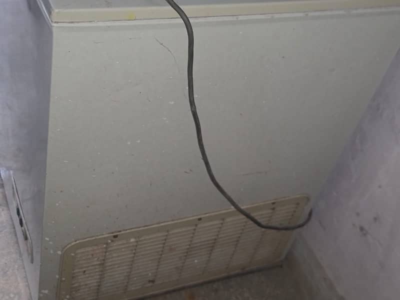 freezer 3