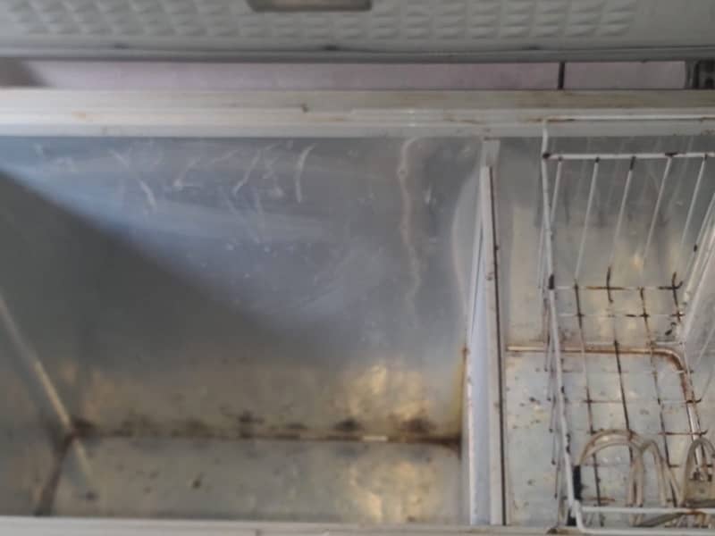 freezer 4