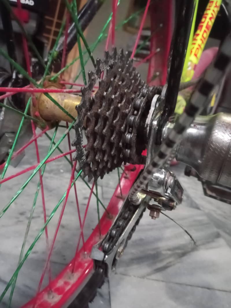 Phoenix cycle 0