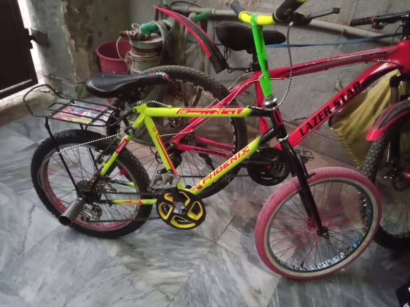 Phoenix cycle 2