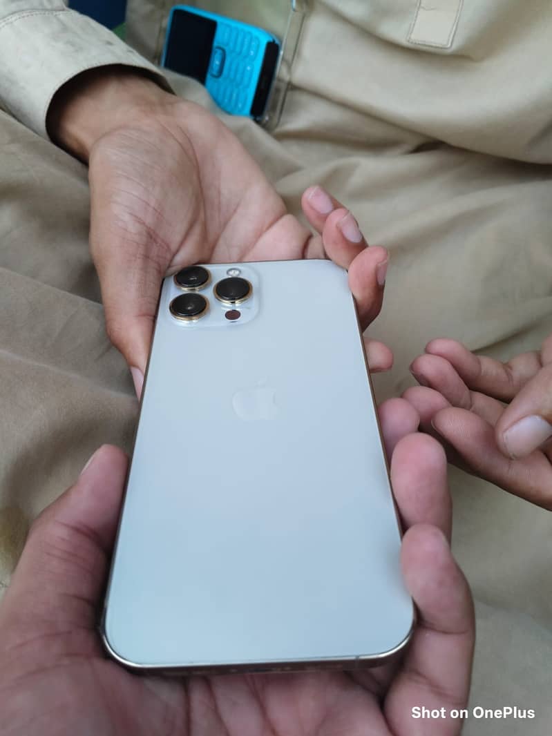 Apple iPhone 13 Pro Max 6