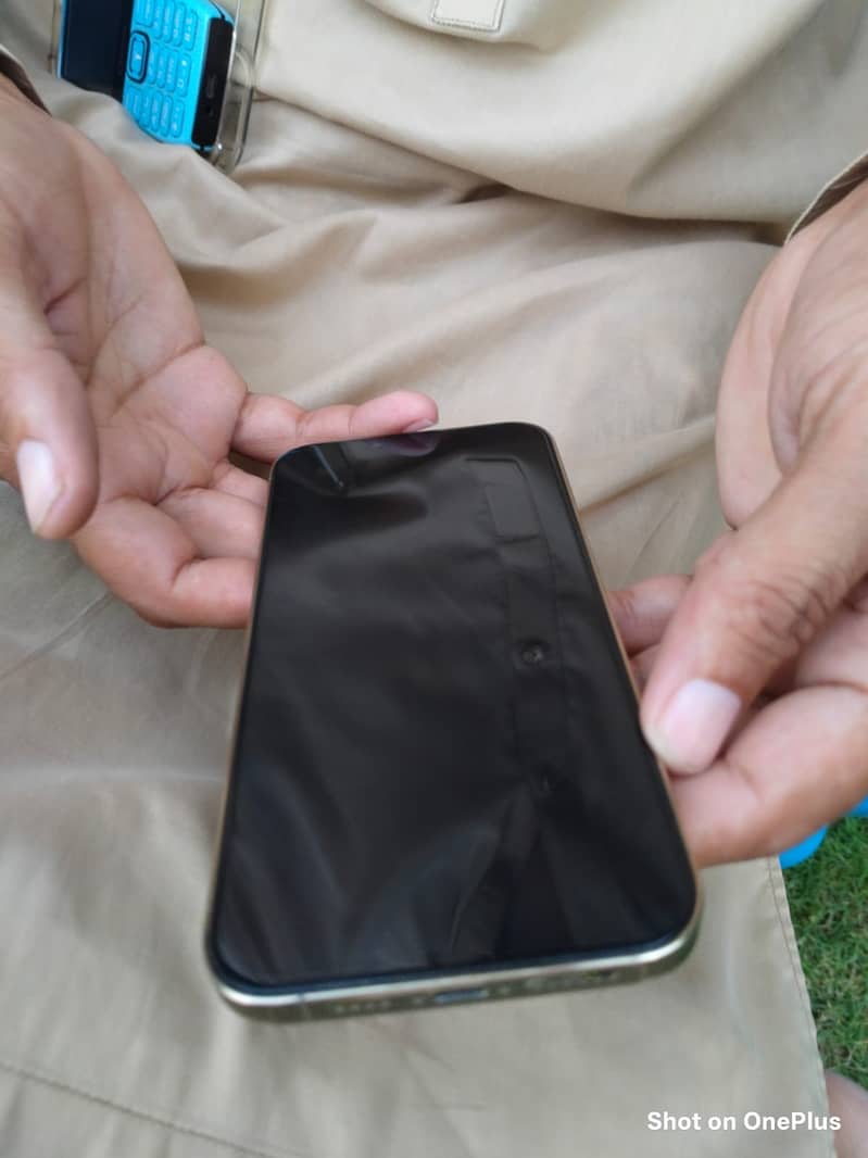 Apple iPhone 13 Pro Max 7