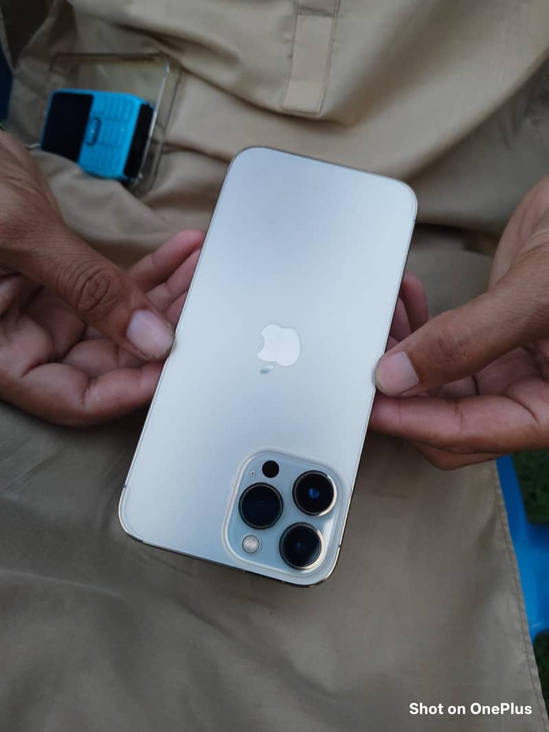 Apple iPhone 13 Pro Max 10