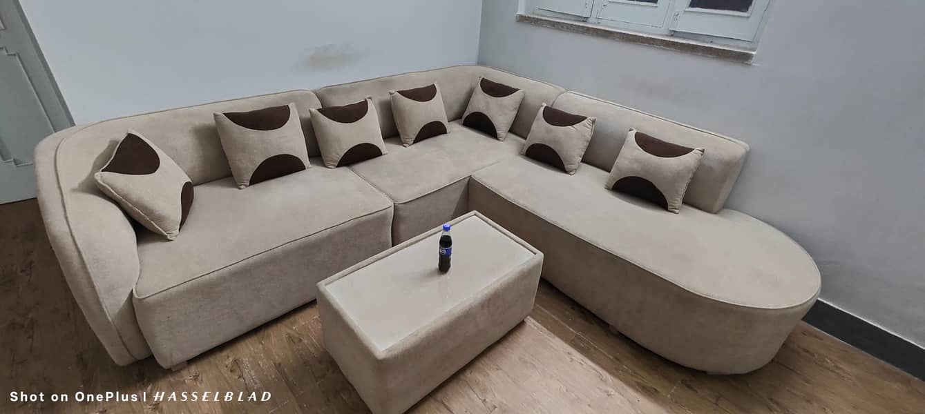 L shape sofa 2