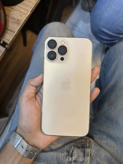 iPhone 13 Pro Max
