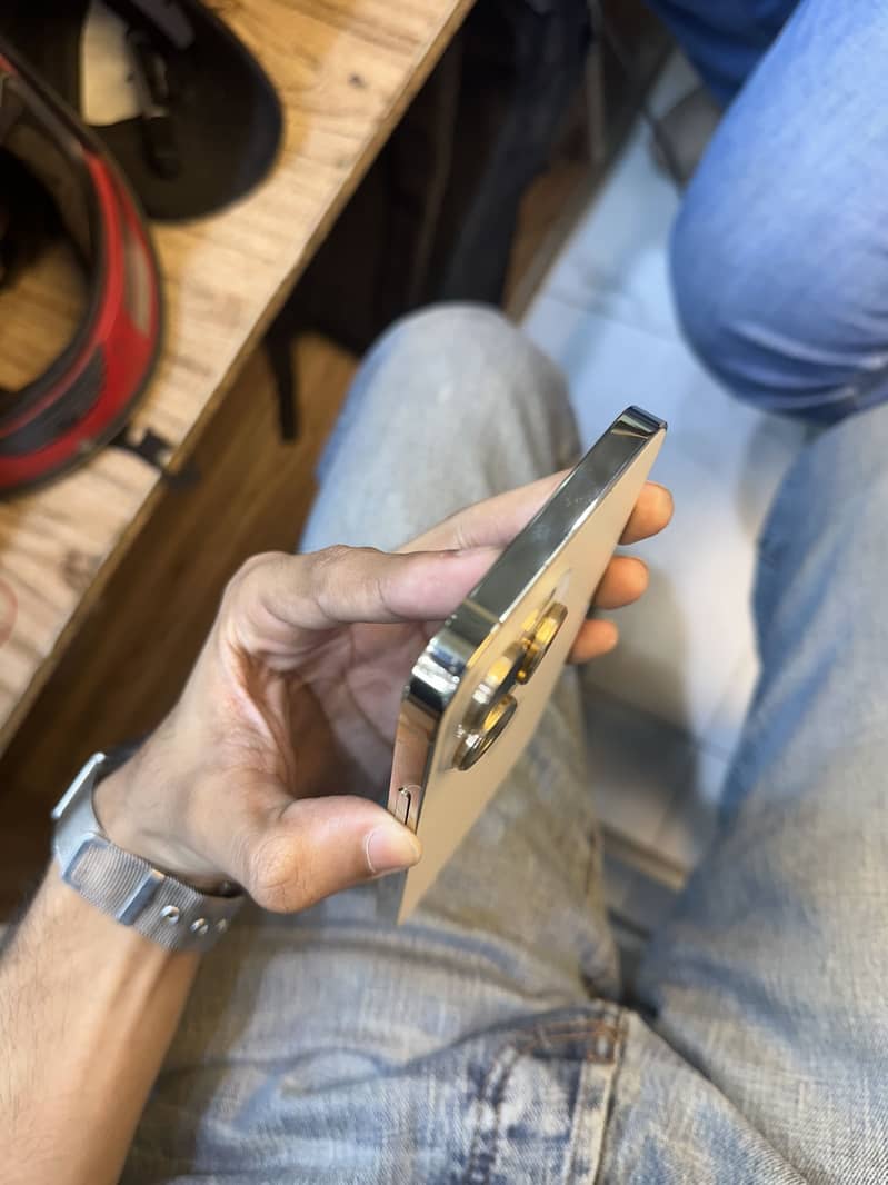 iPhone 13 Pro Max 1