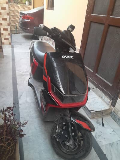 Evee Gen Z Scotty for Sale