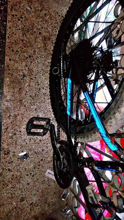 Fat tyre bicycle