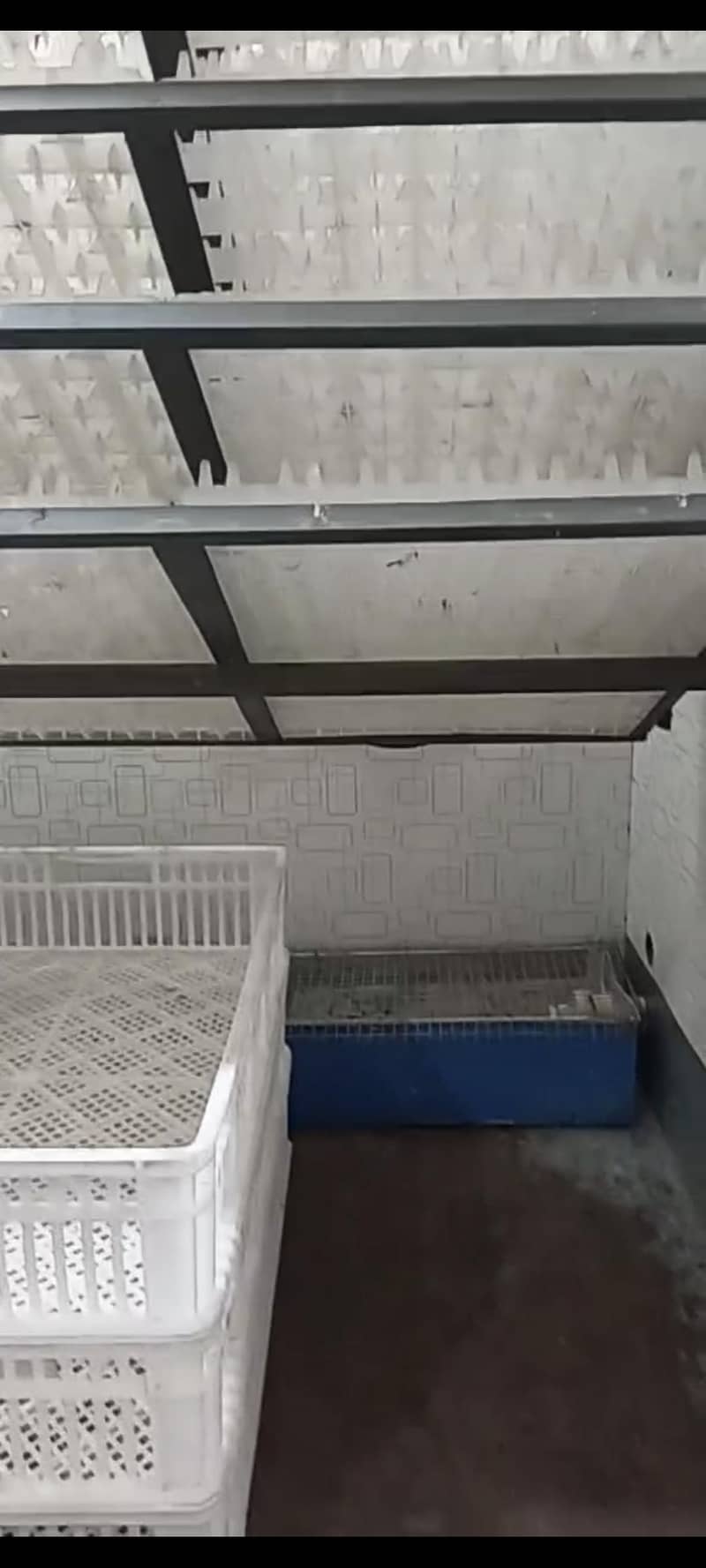 2000 fully Automatic Incubator99% hatchability | XM-26 controller 4