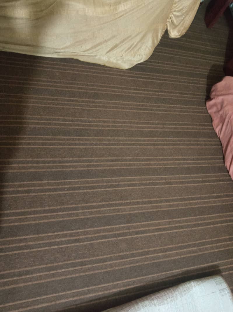 Carpet big size 3
