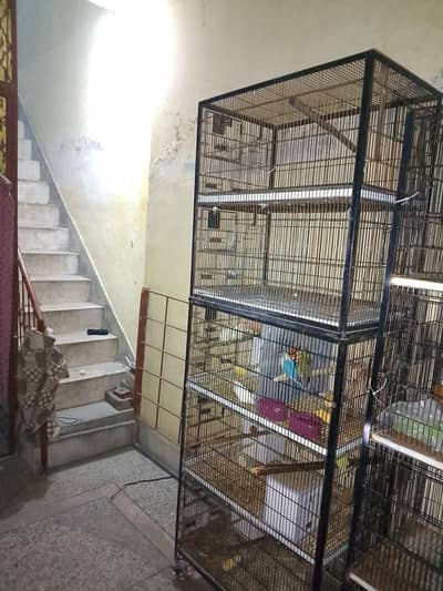 cage and birds for sale