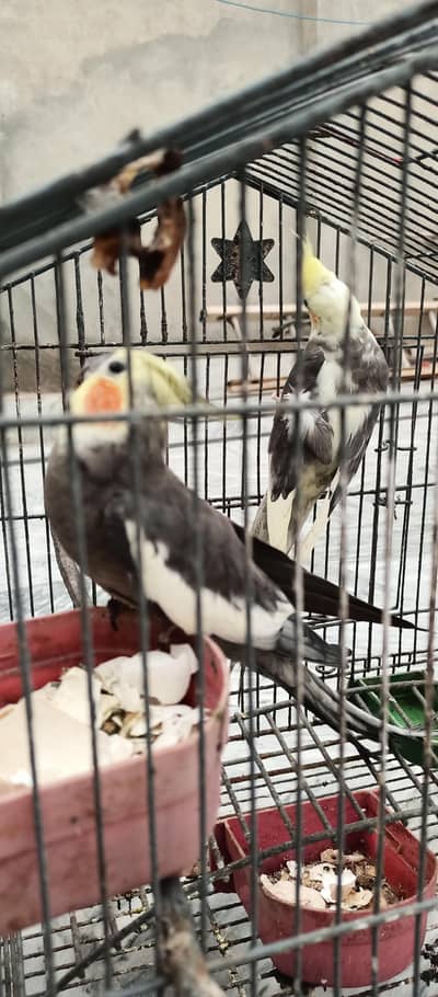 very good condition