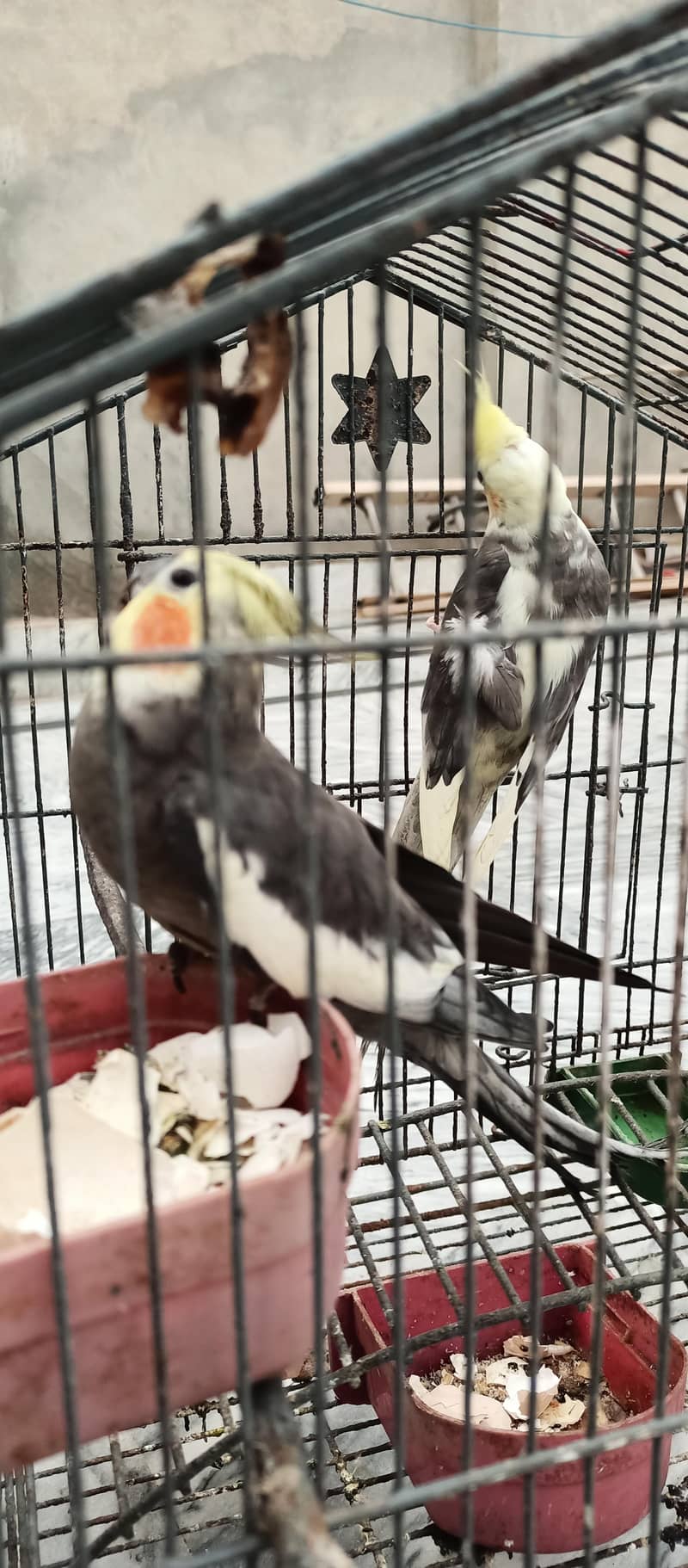 very good condition 0