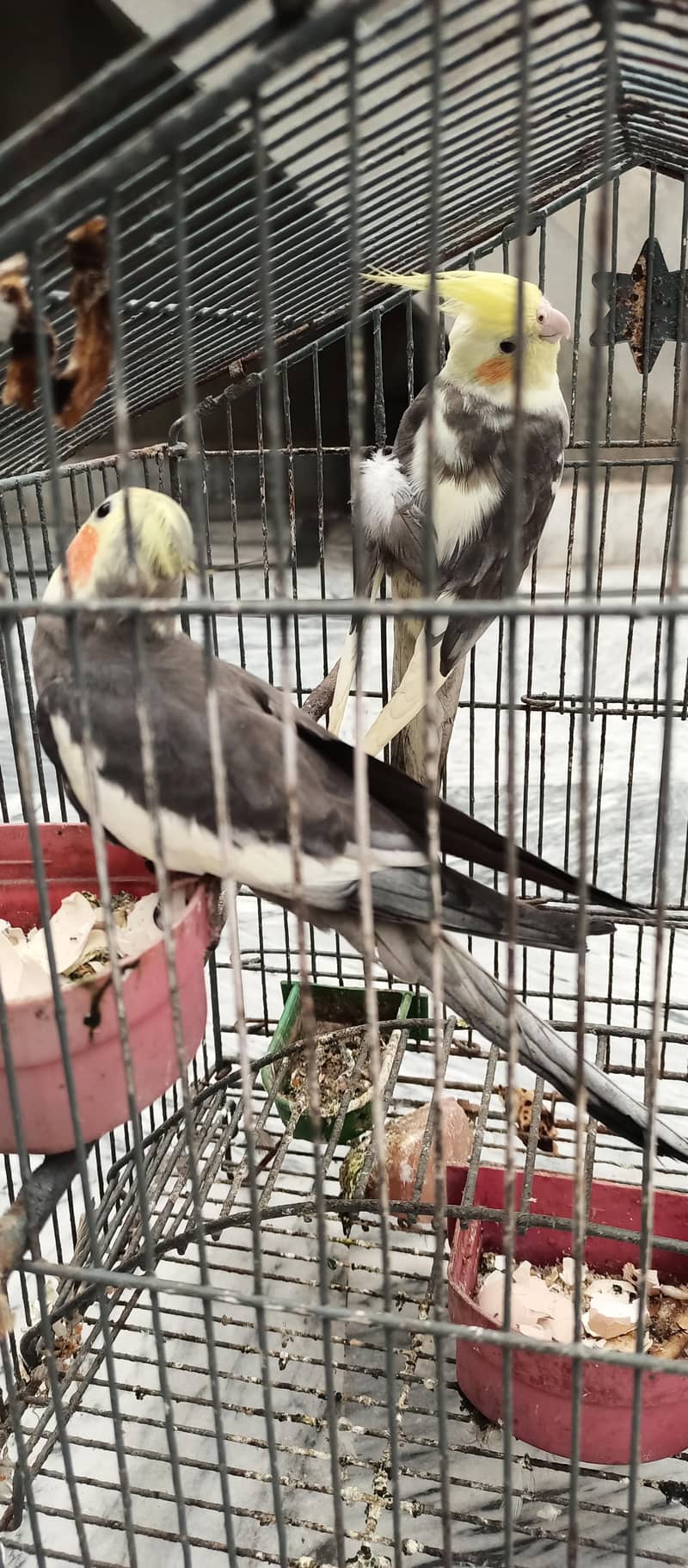 very good condition 1