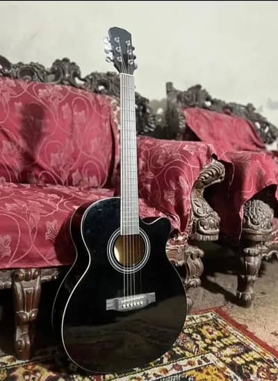 GUITAR FOR SEAL
