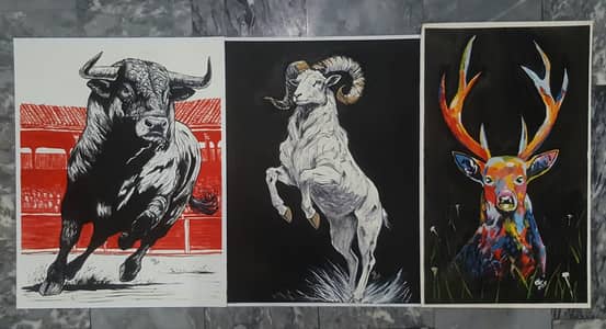 Painting collection for sale (Gulshan e hadeed)