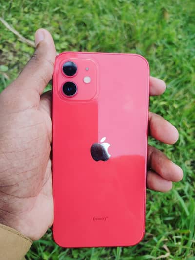 Apple iPhone 12