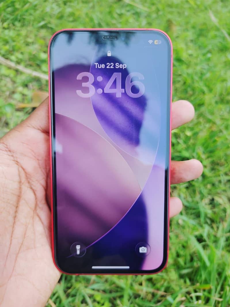 Apple iPhone 12 1