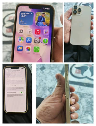 Apple iPhone 13 Pro Max