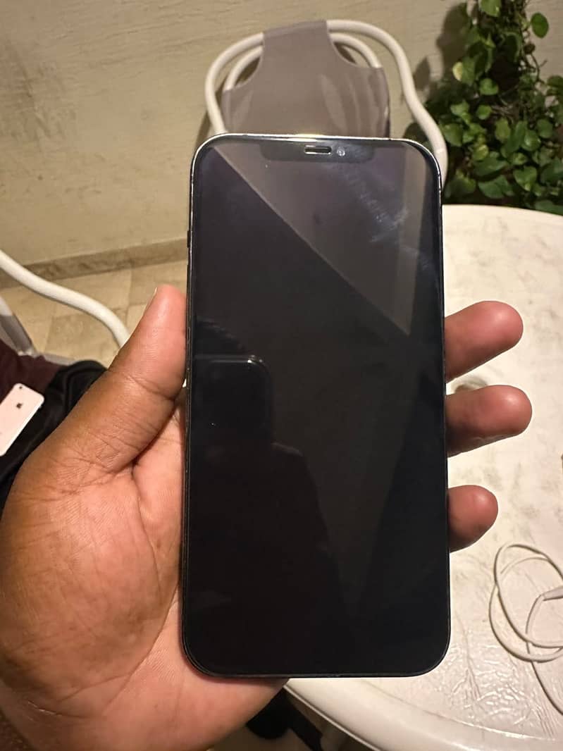 Apple iPhone 12 Pro Max 1