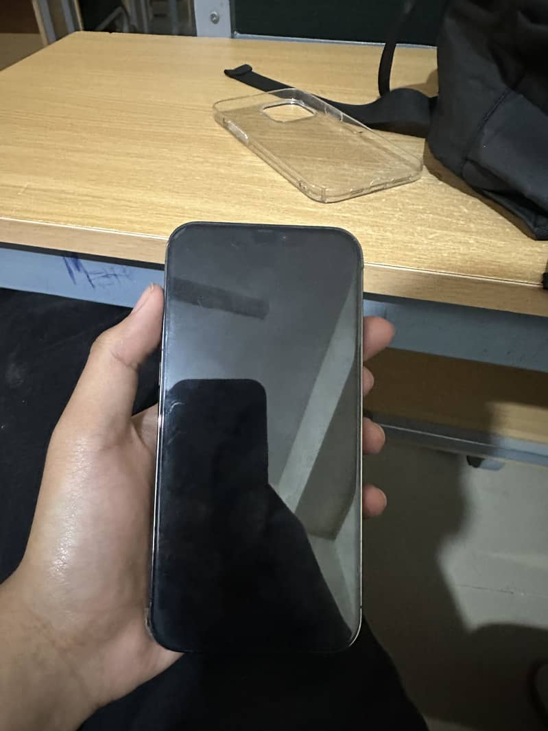 Apple iPhone 12 Pro Max 1