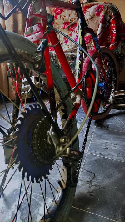 phoenix cycle wheelie