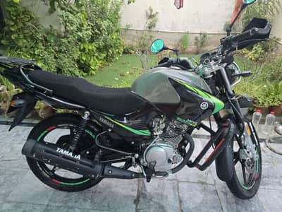 Yamaha YBR G